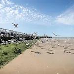 In Near Sea Dyke 펜션 블랑켄베르크