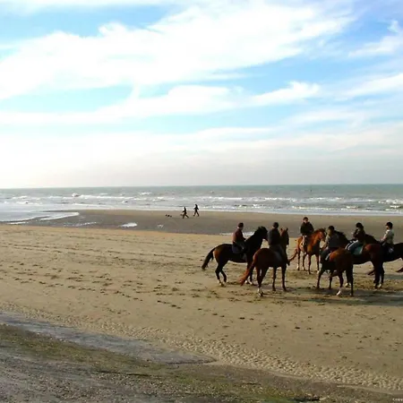 In Near Sea Dyke Holiday home Blankenberge