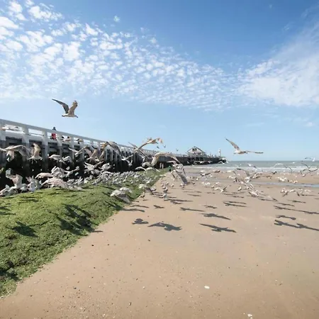 In Near Sea Dyke Holiday home Blankenberge