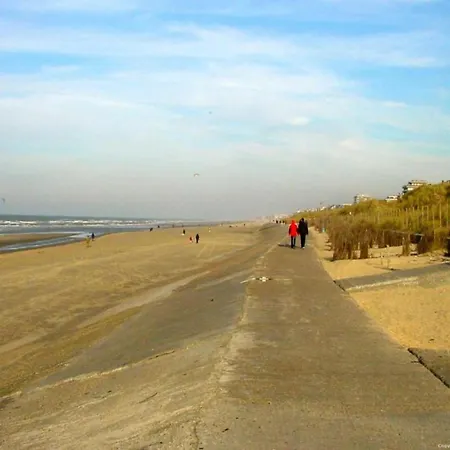 Casa vacanze In Near Sea Dyke Blankenberge